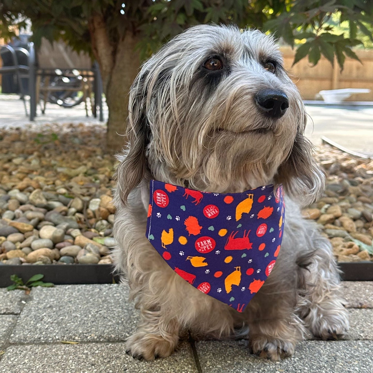 Farm To Pet - Tie-on Dog Bandana | Adjustable String-tie Bandana for Dogs and Cats