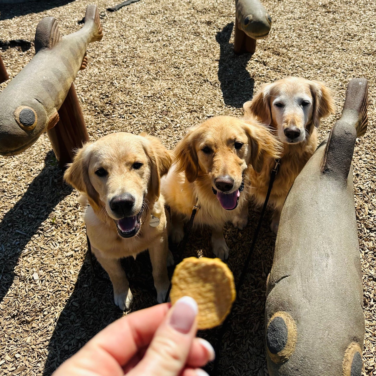Farm To Pet - Fish Chips for Dogs | Wild-Caught Fish Dog Treats