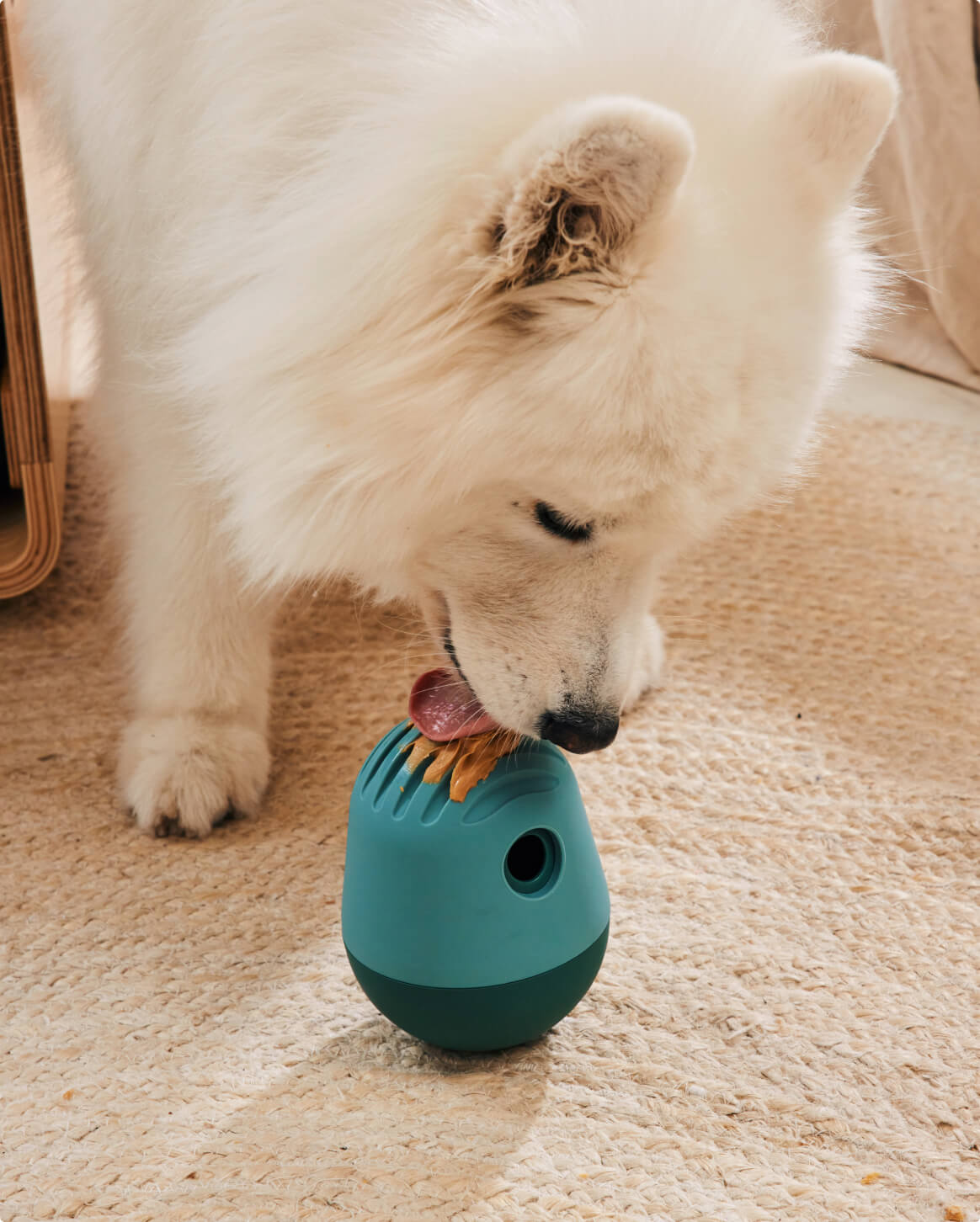 Fable - The Puffin™ Game Dog Toy