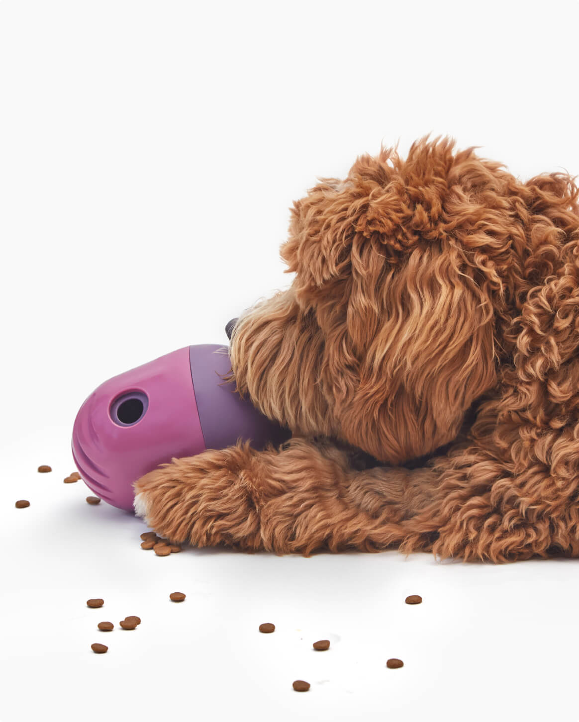 Fable - The Puffin™ Game Dog Toy