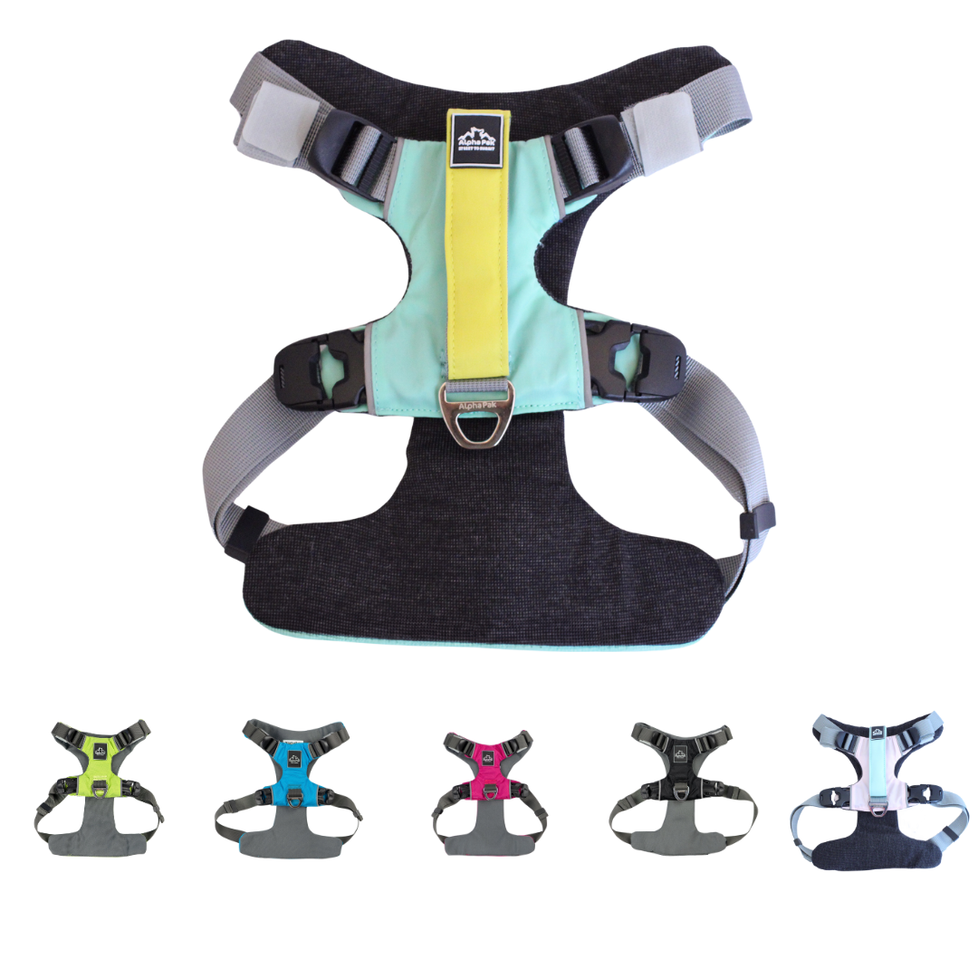 Alpha Pak - Everyday Adventure Dog Harness