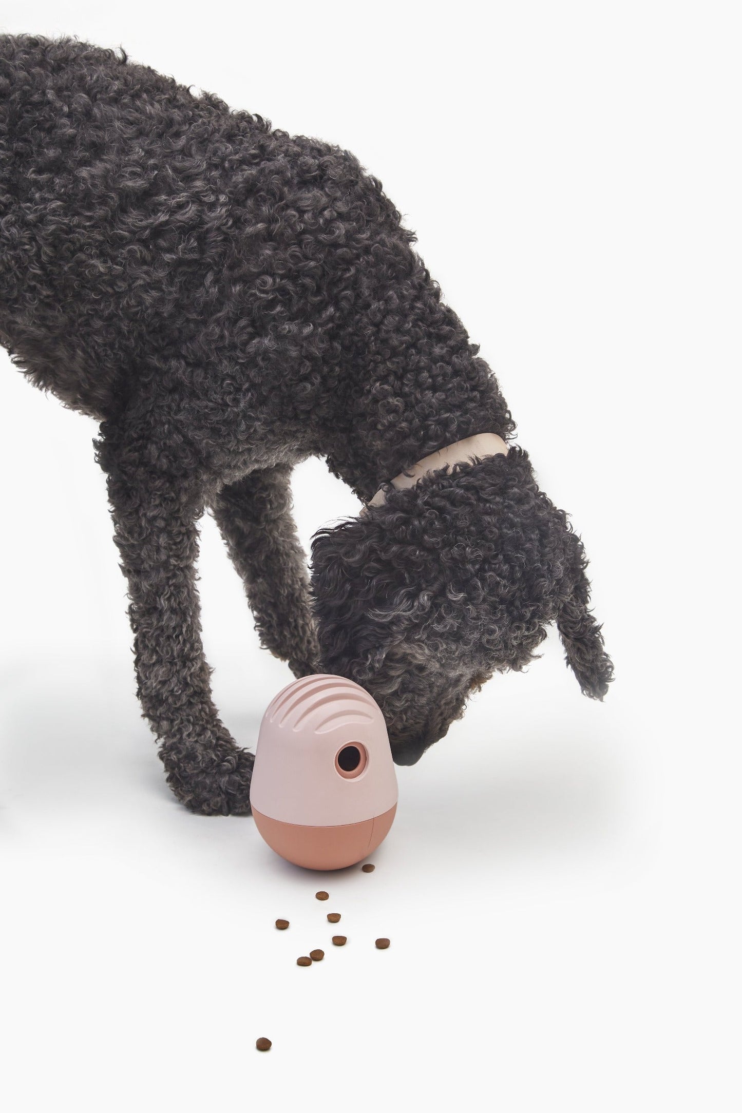 Fable - The Puffin™ Game Dog Toy