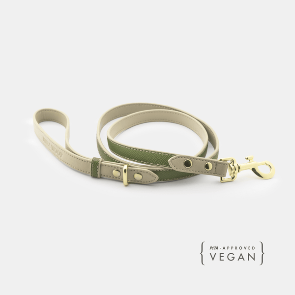 Dog Leash