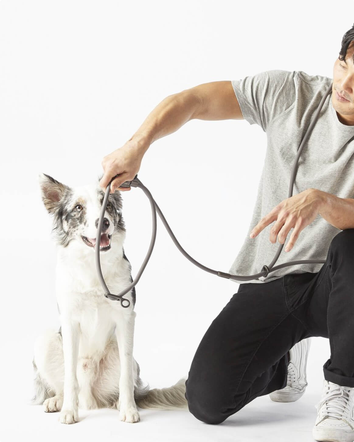 Fable - Magic Link® Dog leash