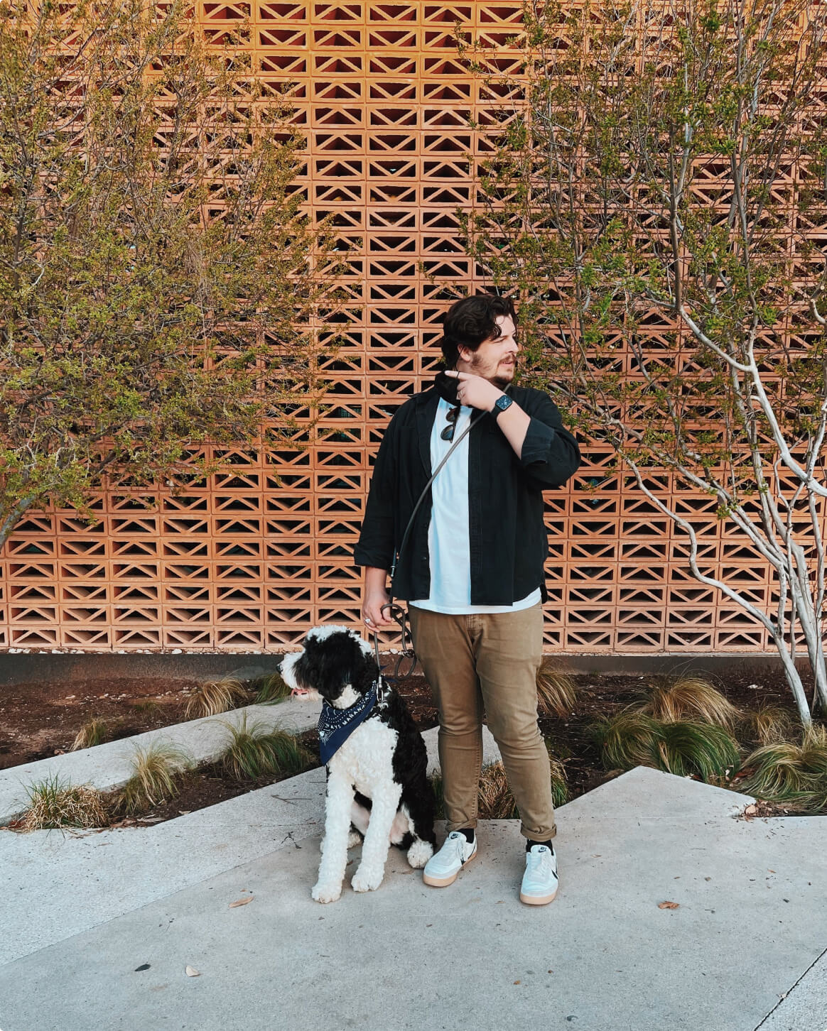 Fable - Magic Link® Dog leash