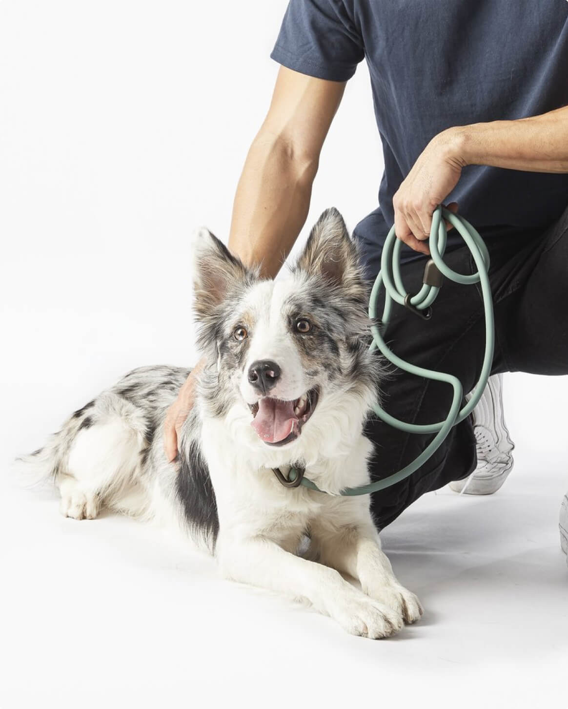 Fable - Magic Link® Dog leash