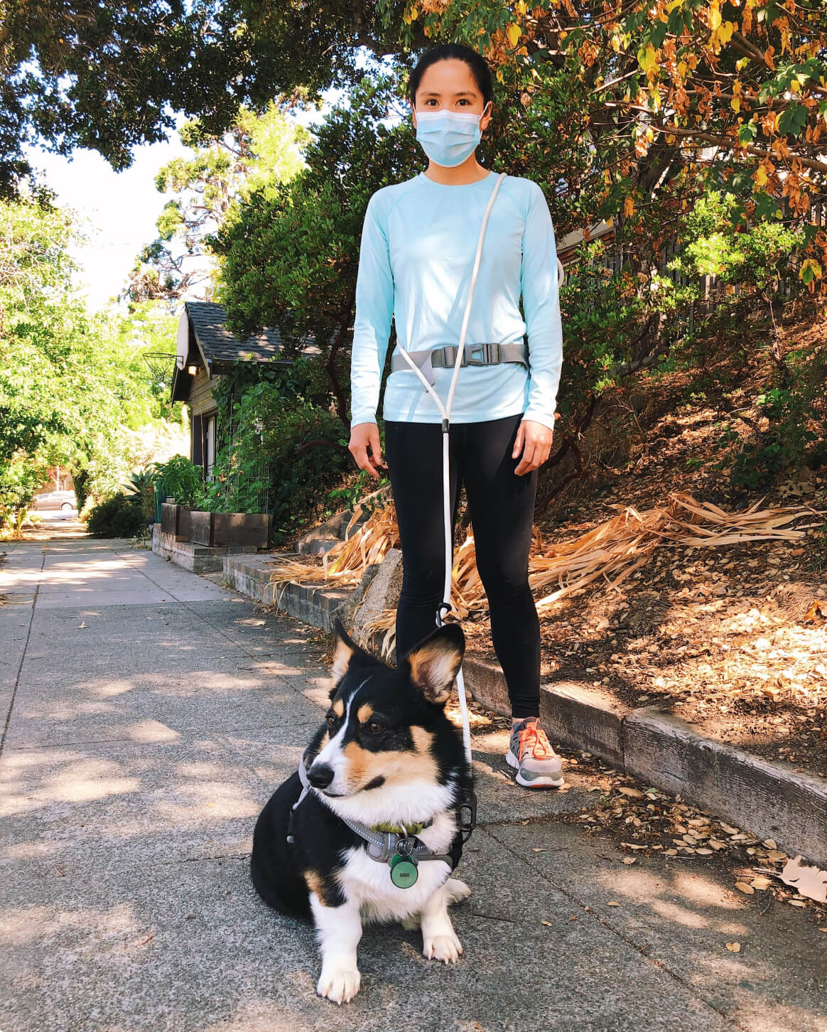 Fable - Magic Link® Dog leash