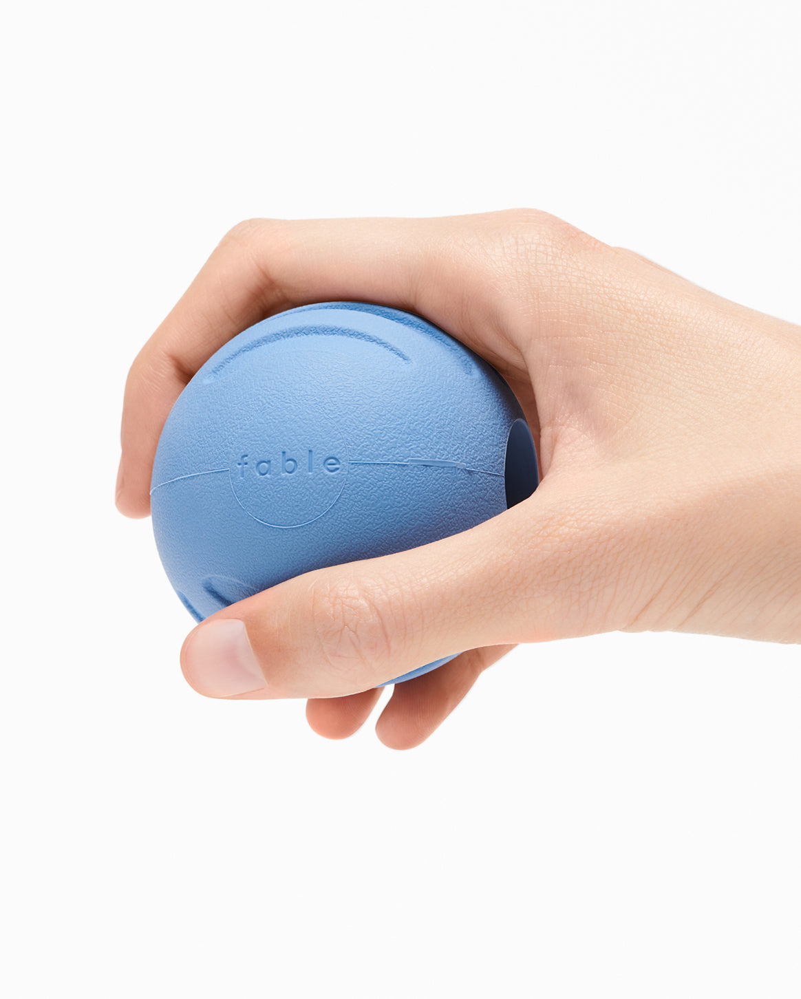 Fable - Signature Ball Dog Toy