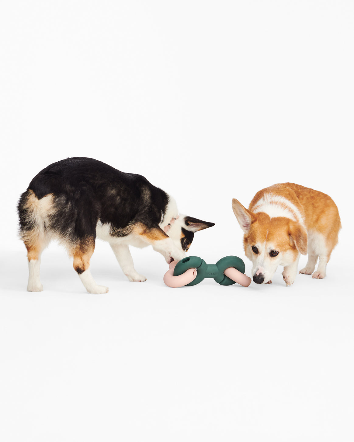 Fable - Twin Falcon Dog Toy