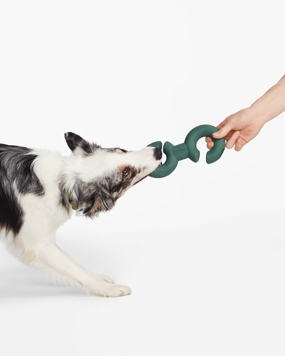 Fable - Twin Falcon Dog Toy