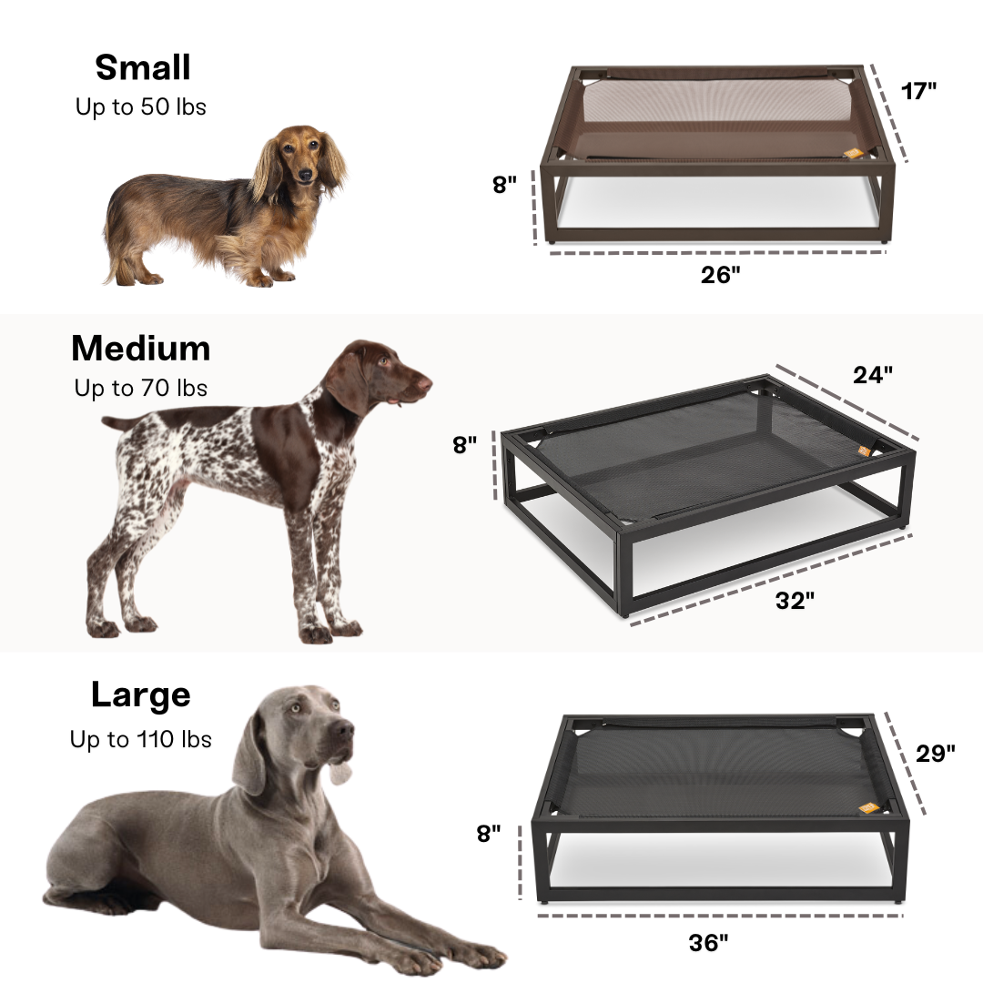 FÜZI - The Up Pup Dog Bed