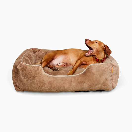 FÜZI - The Sammy Dog Bed