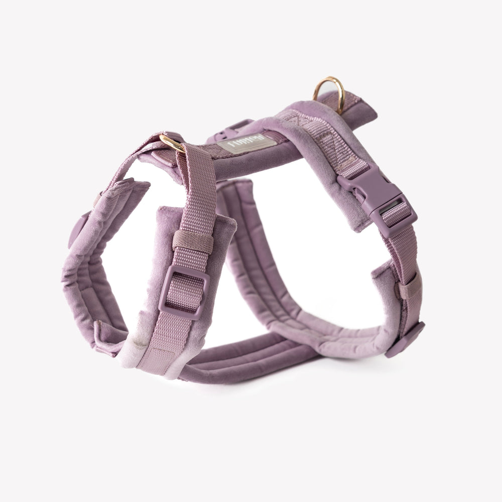 FURLOU lilac velvet dog harness with gold hardware

