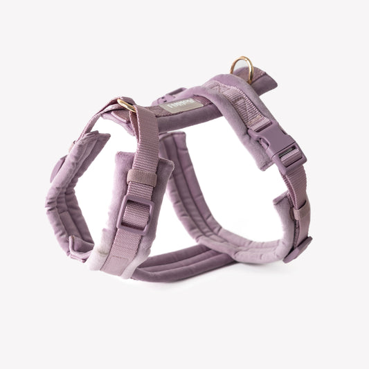 FURLOU lilac velvet dog harness with gold hardware

