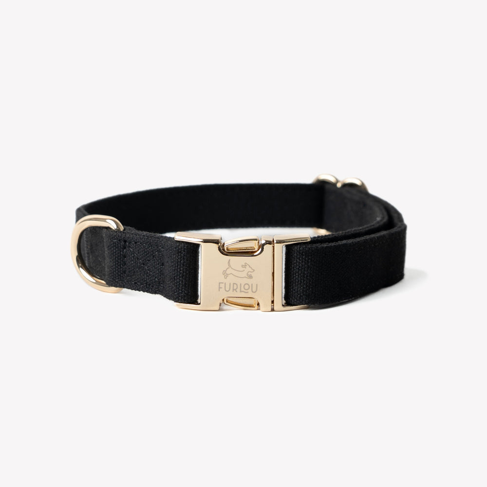 FURLOU black canvas dog collar with gold buckle

