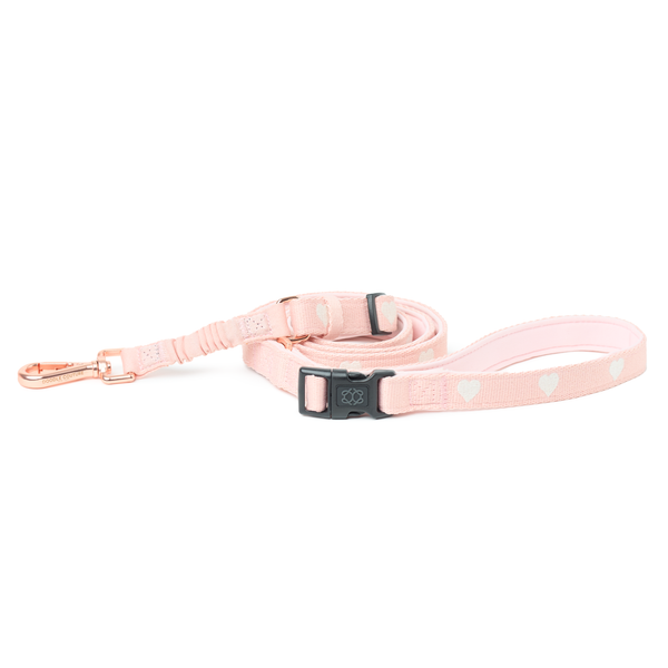 Dogistry - 3-in-1 City Dog Leash - Sweetheart