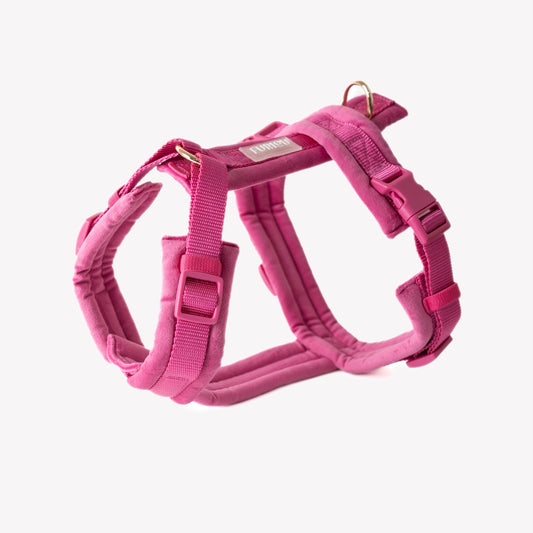 Magenta velvet dog harness front view with gold accents