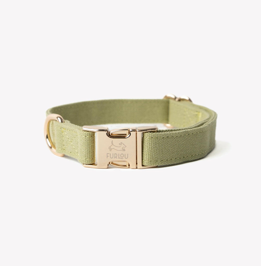 FURLOU - Green Canvas Dog Collar