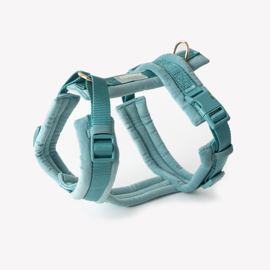 FURLOU - Blue Velvet Dog Harness