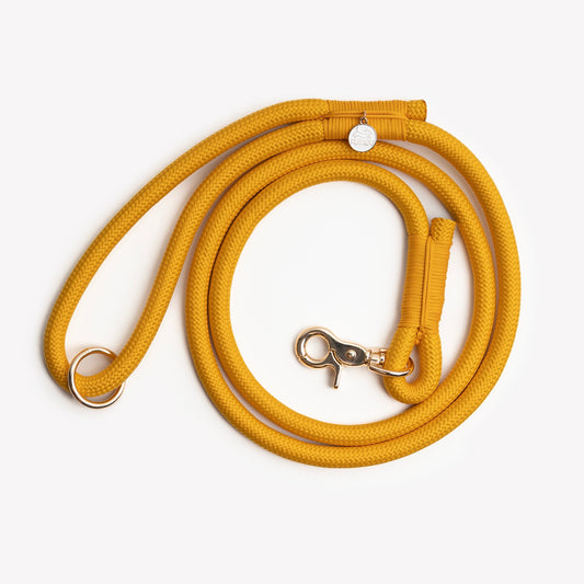 URLOU yellow braided dog leash coiled with gold clasp