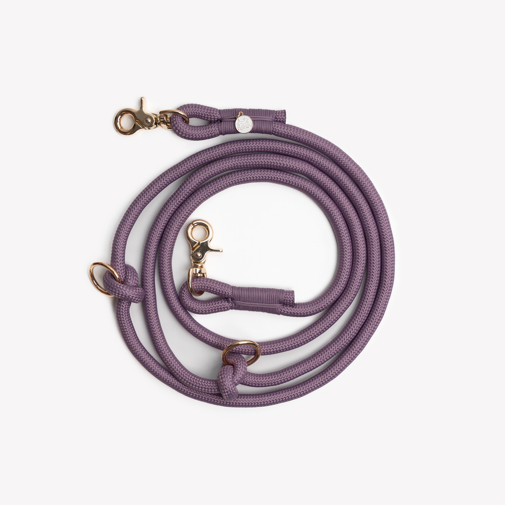 adjustable lilac dog leash with gold clip


