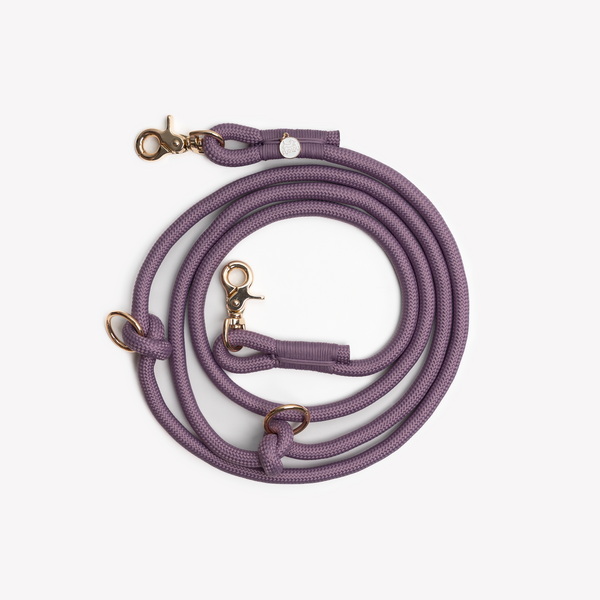 adjustable lilac dog leash with gold clip

