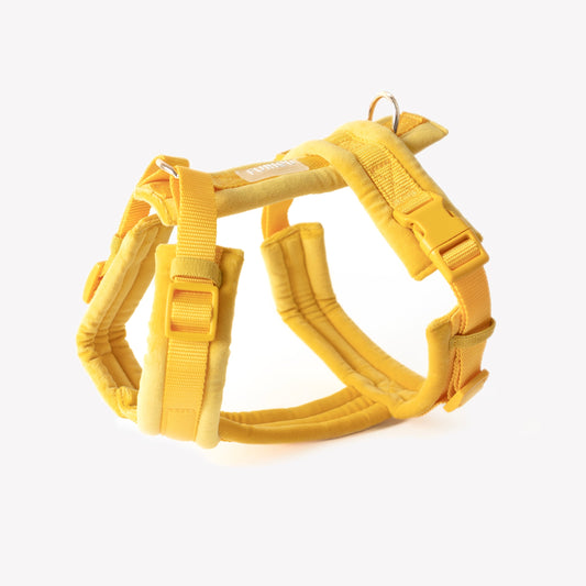 FURLOU yellow velvet dog harness flat lay with gold hardware