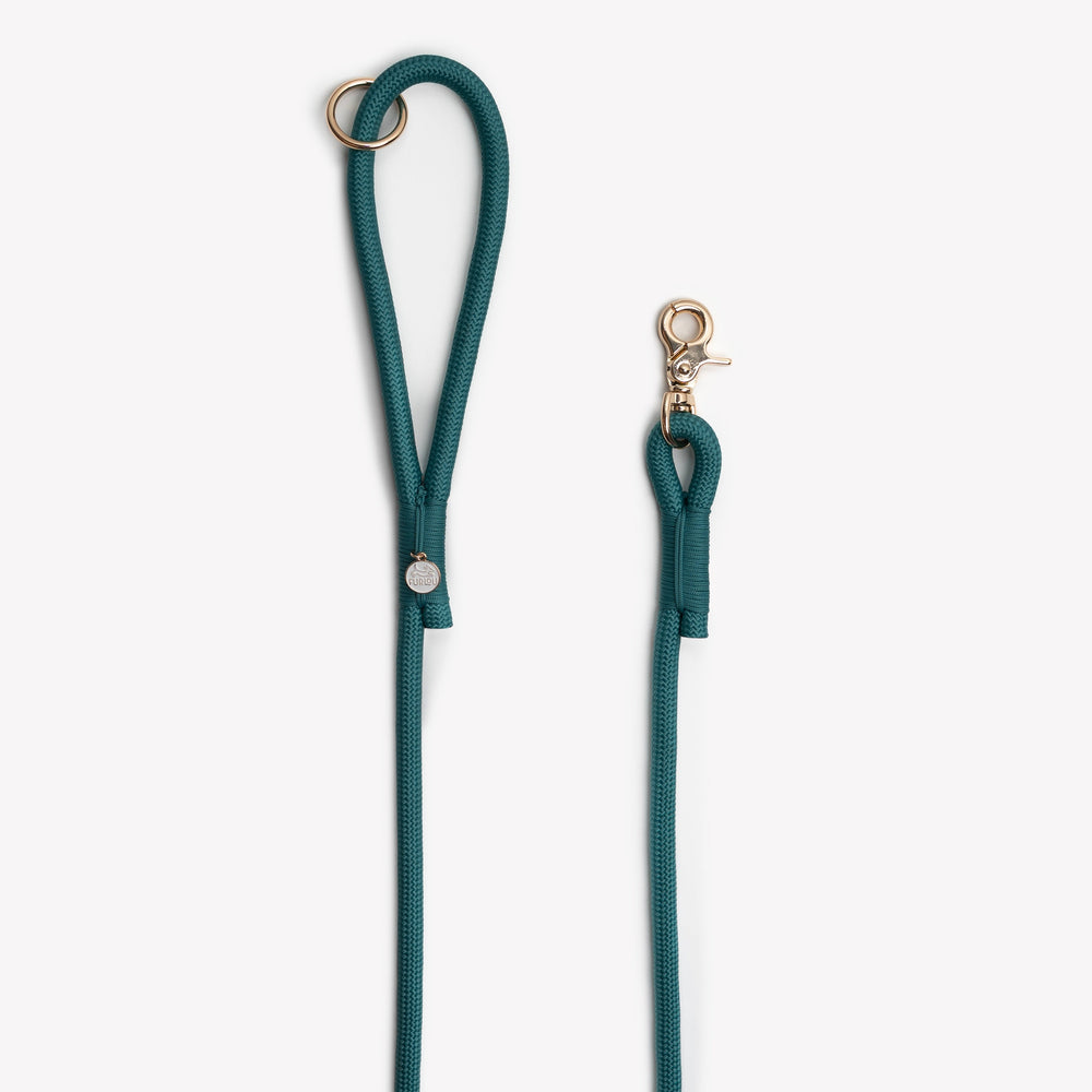 durable double braided rope leash for dogs

