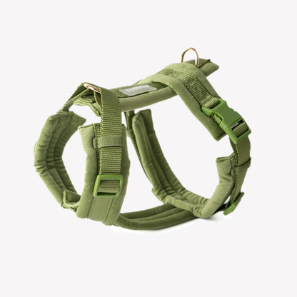 Green velvet dog harness with gold hardware front view