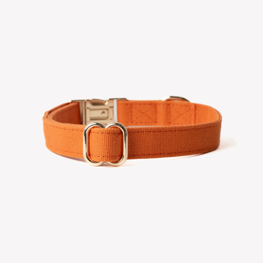 FURLOU terracotta dog collar side view

