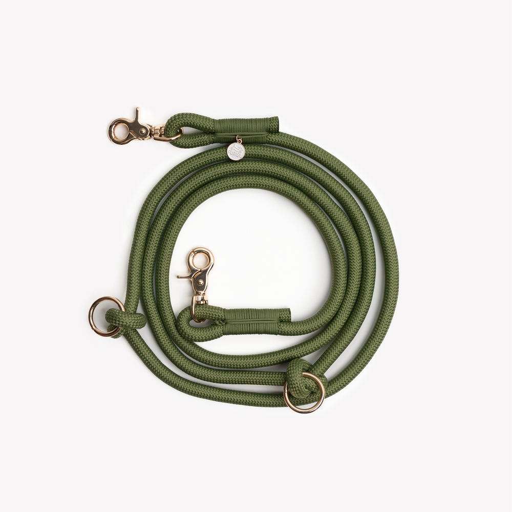 adjustable green dog leash for hands free walking

