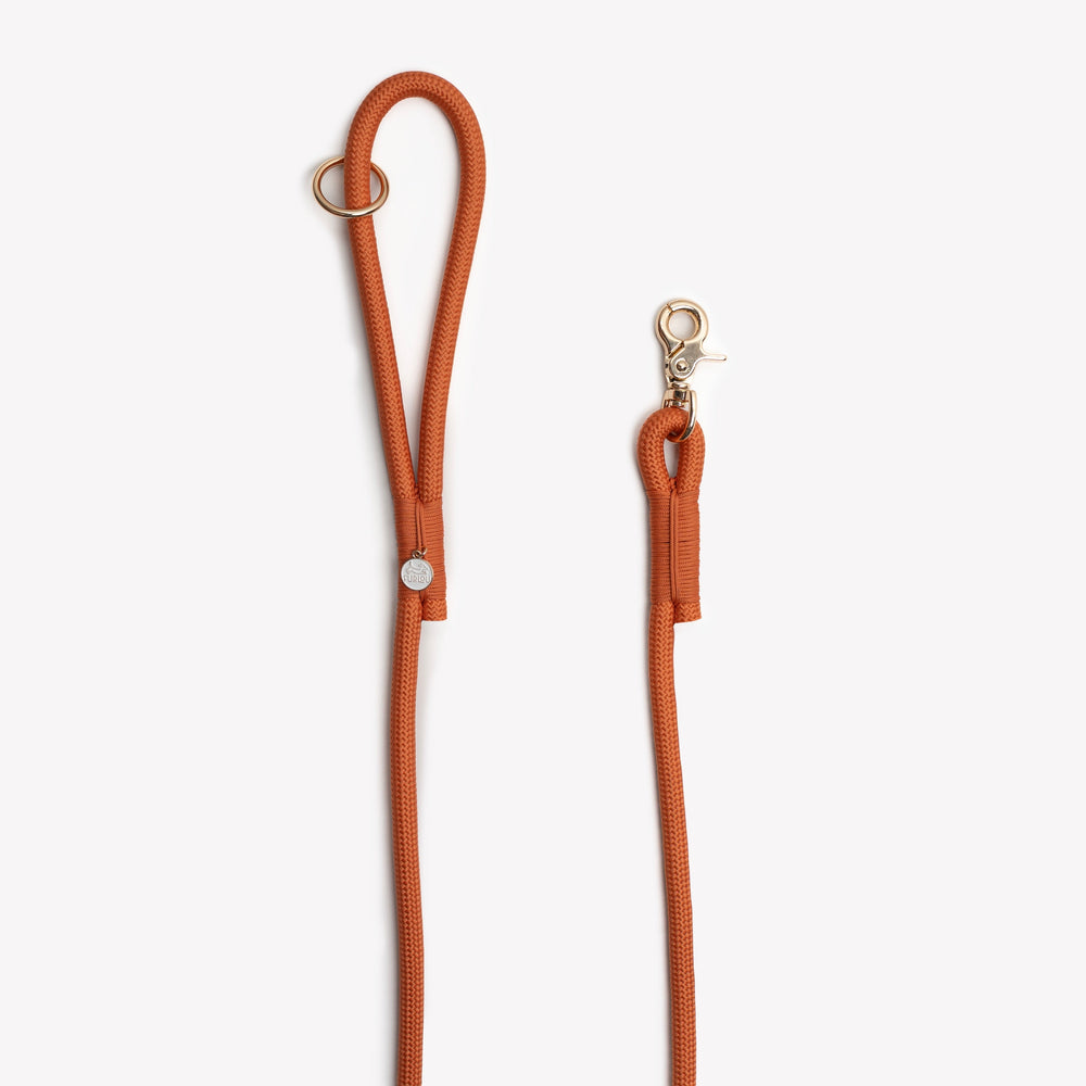 luxury rope dog leash with gold hardware

