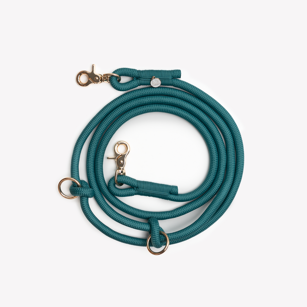 adjustable blue rope leash for dogs

