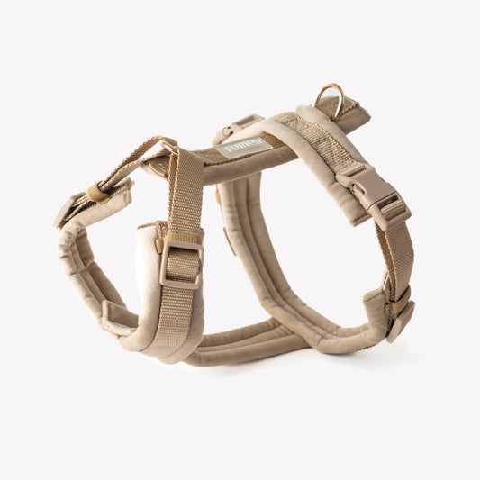 sand velvet dog harness with gold hardware

