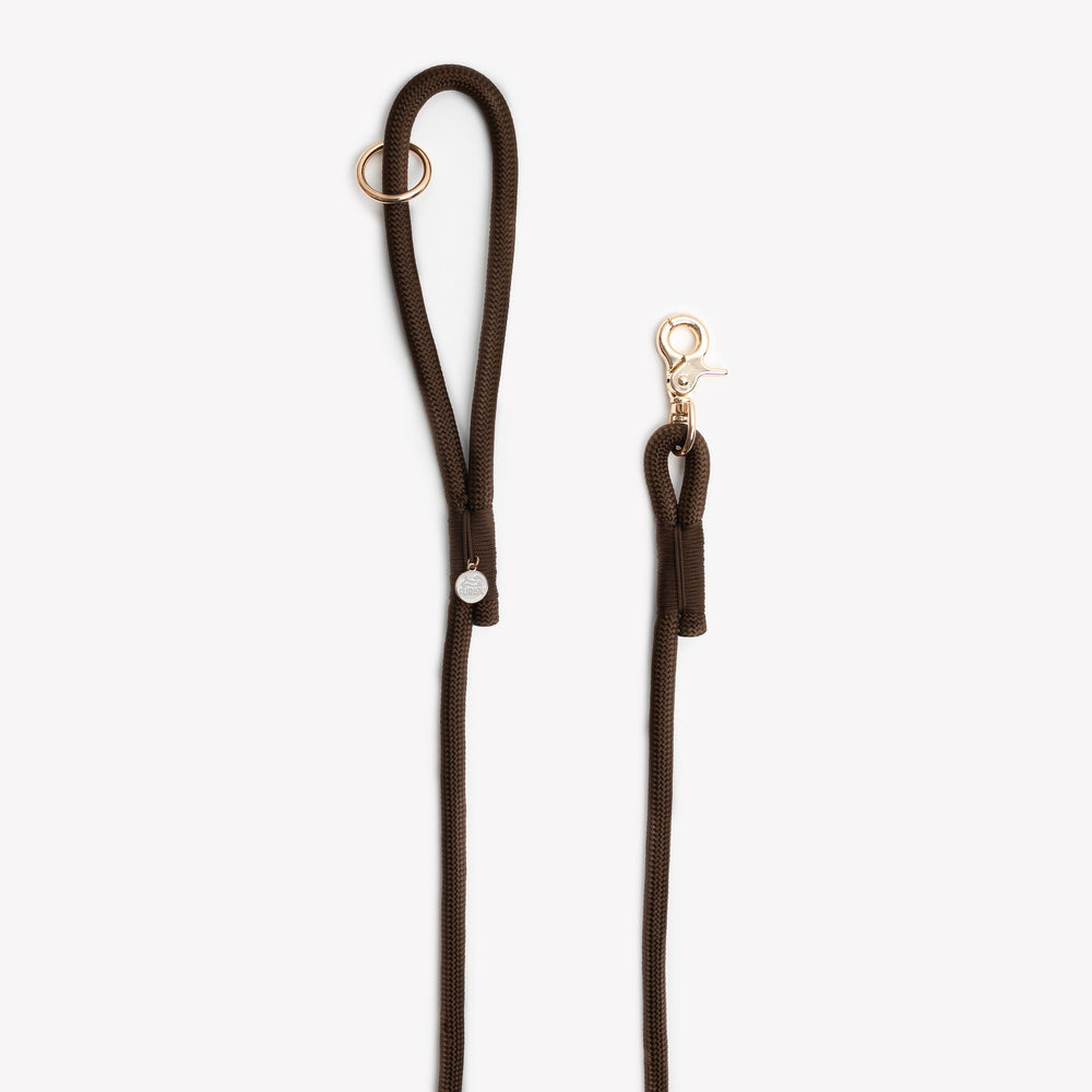 durable nylon dog leash in brown

