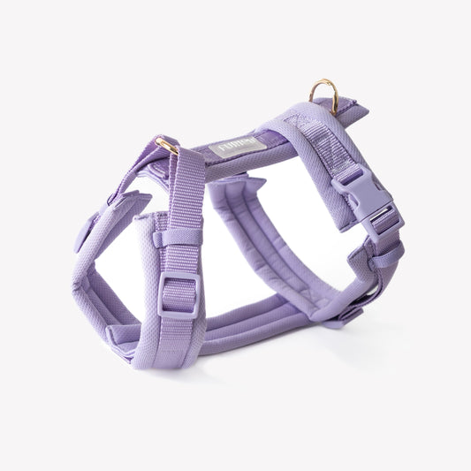 Lavender no-pull dog harness with gold hardware

