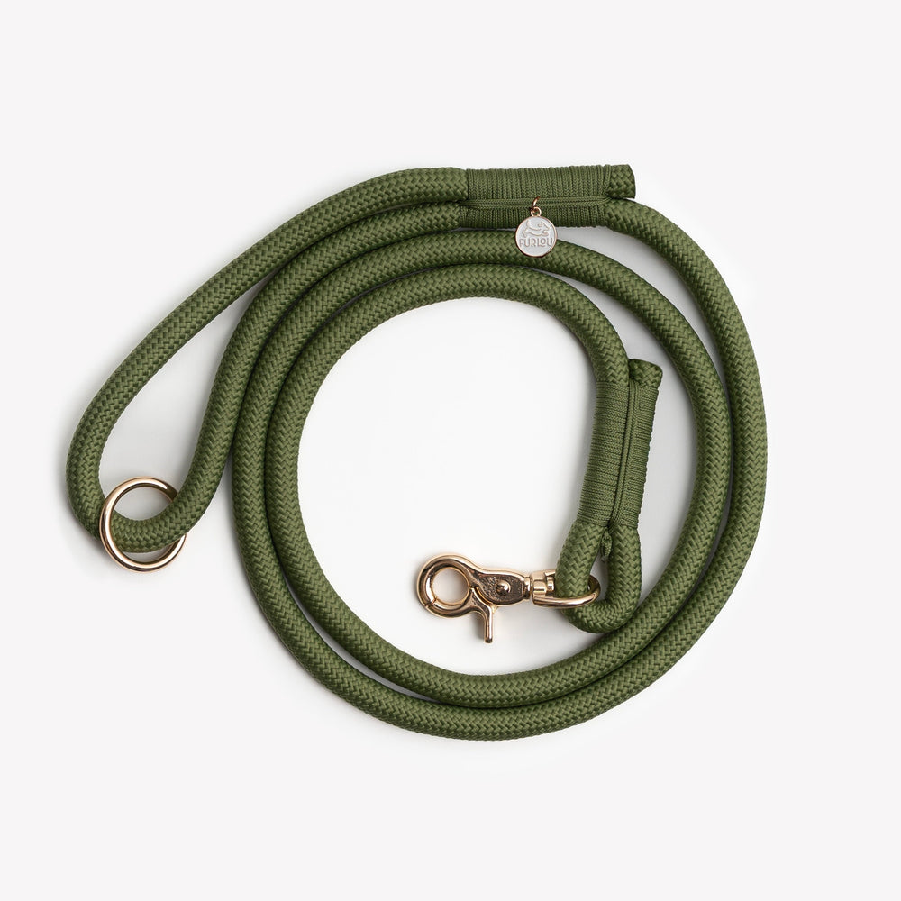 FURLOU green braided dog leash with gold hardware

