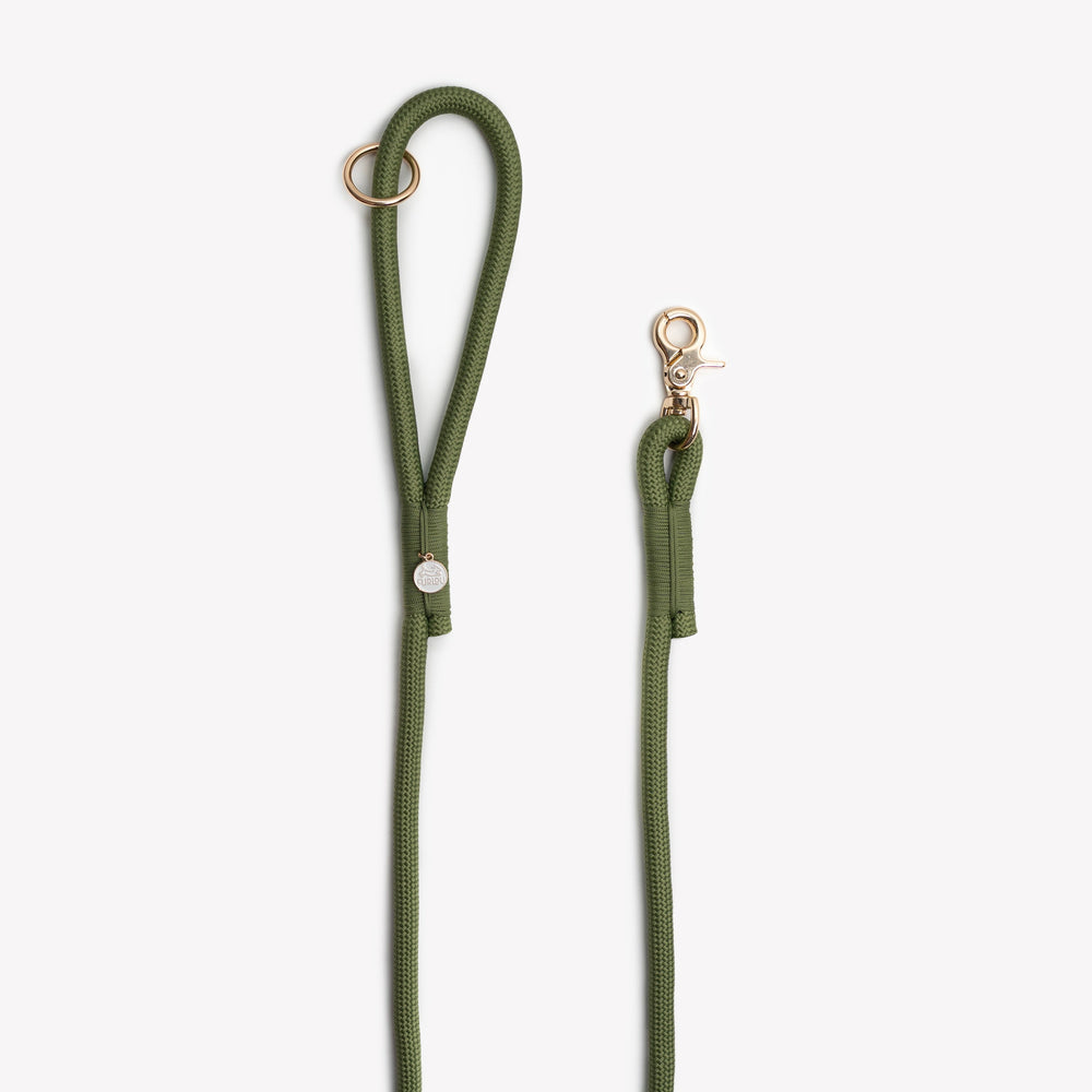 durable green rope leash for dogs

