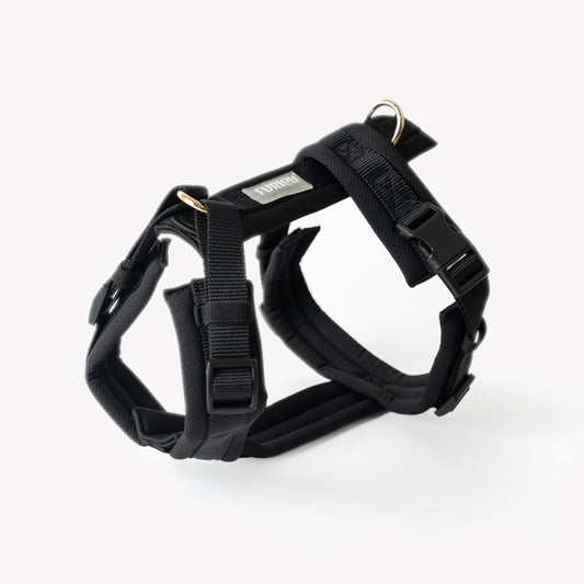 FURLOU black comfort dog harness with gold hardware

