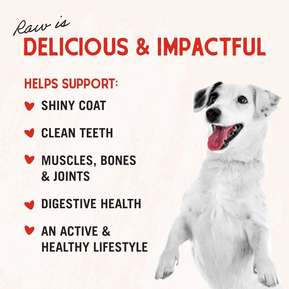 Stella & chewy's - Freeze-Dried Raw Chicken Breast Dog Treats - Single Ingredient, No Additives - Premium Training Treats - Perfect for Picky Eaters - 2.75Oz Bag