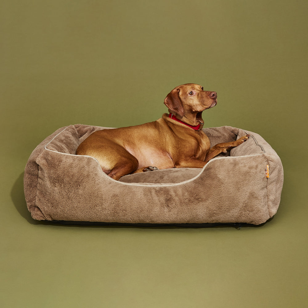 FÜZI - The Sammy Dog Bed