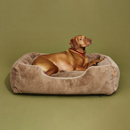 FÜZI - The Sammy Dog Bed