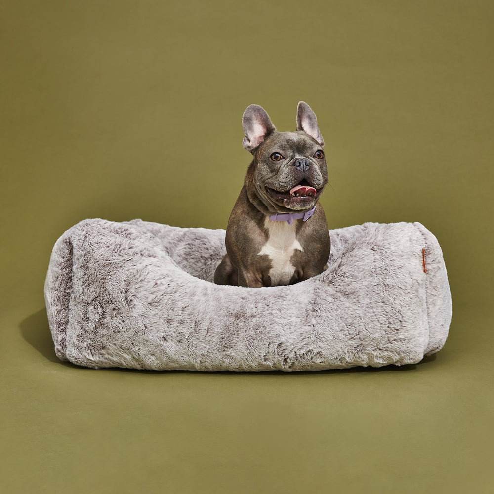 FÜZI - The Sammy Dog Bed
