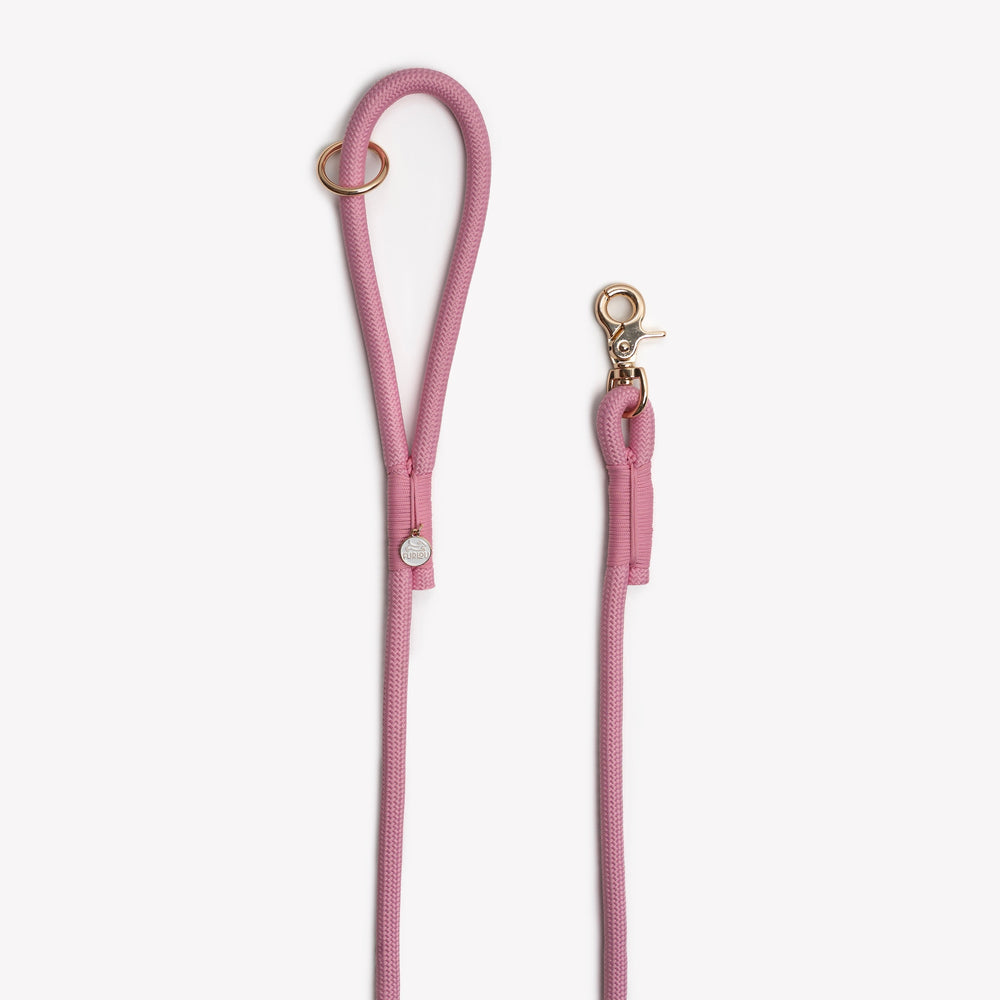 stylish pink dog leash with O ring

