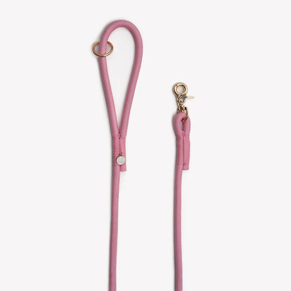 stylish pink dog leash with O ring

