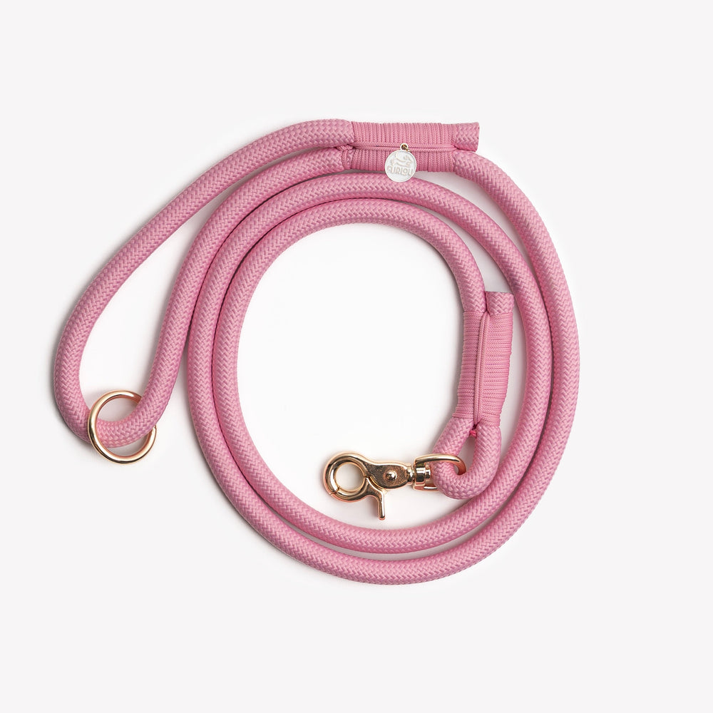 FURLOU pink braided rope dog leash with gold hardware

