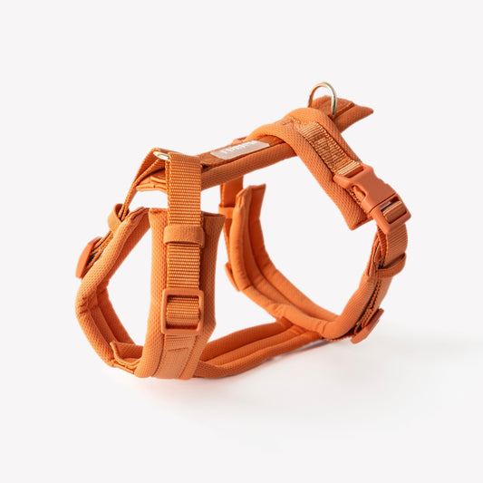 Terracotta no-pull dog harness with gold hardware

