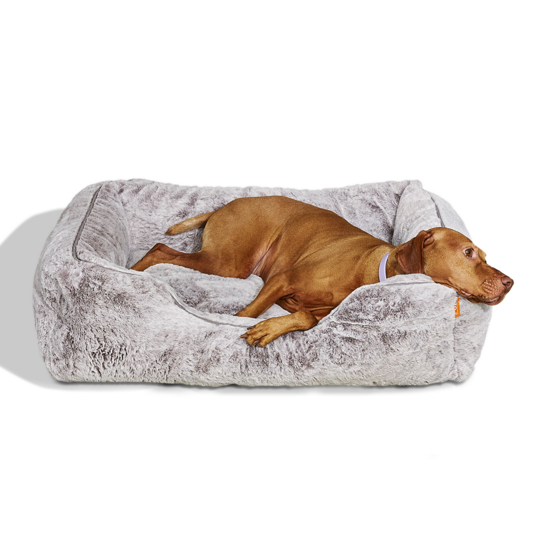 FÜZI - The Sammy Dog Bed