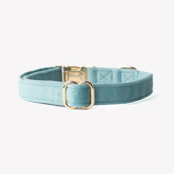 elegant blue velvet collar for small and large dogs

