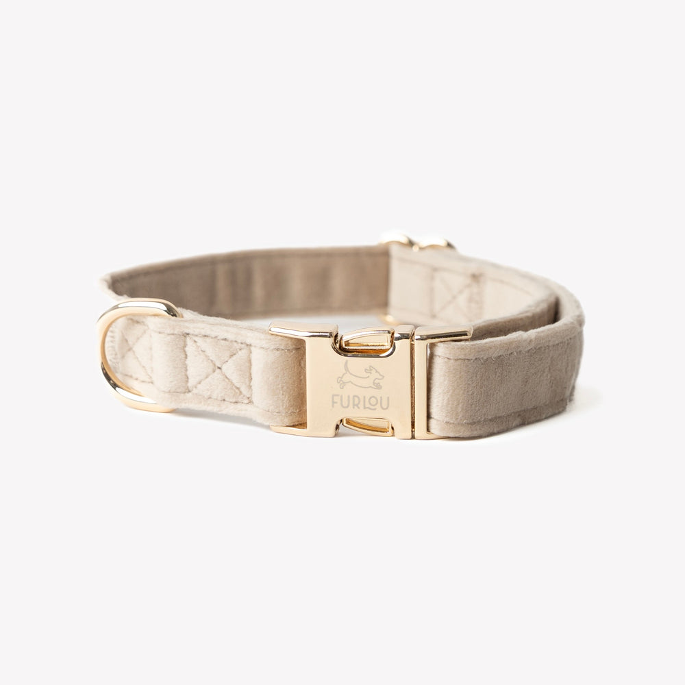 FURLOU sand velvet dog collar with gold buckle

